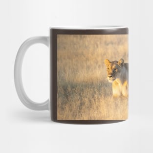 Lion in the grass. Mug